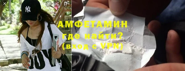шишки Рославль