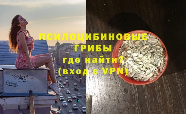 тгк Зеленодольск
