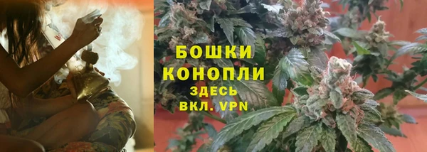 тгк Зеленодольск