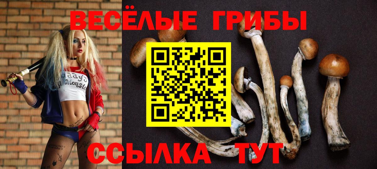 Галлюциногенные грибы GOLDEN TEACHER  Псилоцибиновые грибы Cubensis  Саянск  Вход с VPN 
